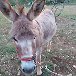 Appartement Rural Ante Drniš