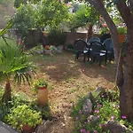 Rural Ante *