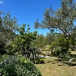 Rural Ante דירה Drniš