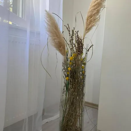 Rural Ante Apartment *
