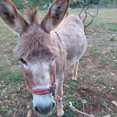 Lejlighed Rural Ante Drniš