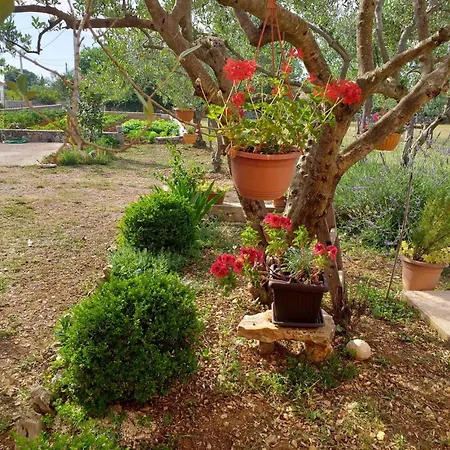Apartment Rural Ante Drnis