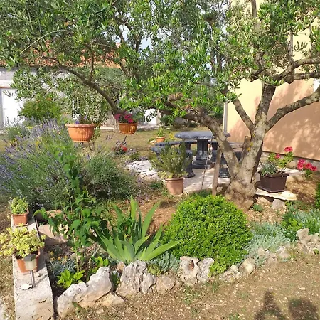 Rural Ante Apartment
