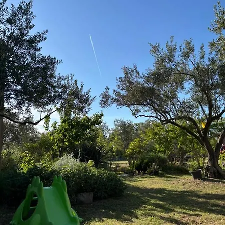 Apartament Rural Ante *