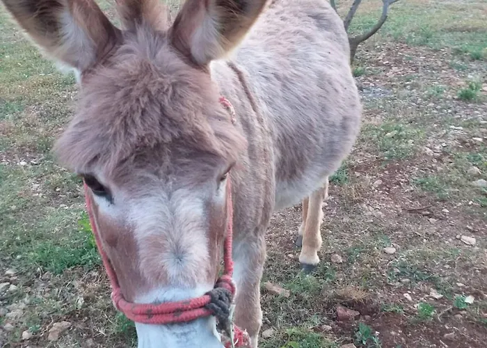 아파트 Rural Ante Drniš