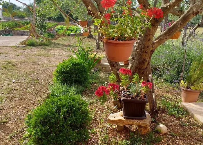 아파트 Rural Ante Drniš